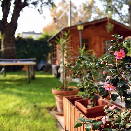 Sofia Отель типа 